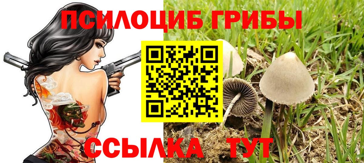 Псилоцибиновые грибы прущие грибы  Вход с VPN  Псилоцибиновые грибы ЛСД  купить наркотик  Северобайкальск 
