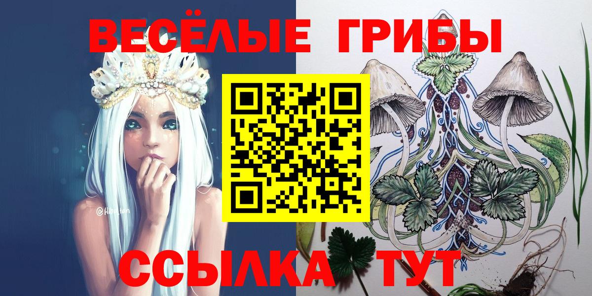Галлюциногенные грибы прущие грибы Северобайкальск